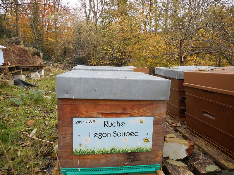 La ruche Legon Soubec